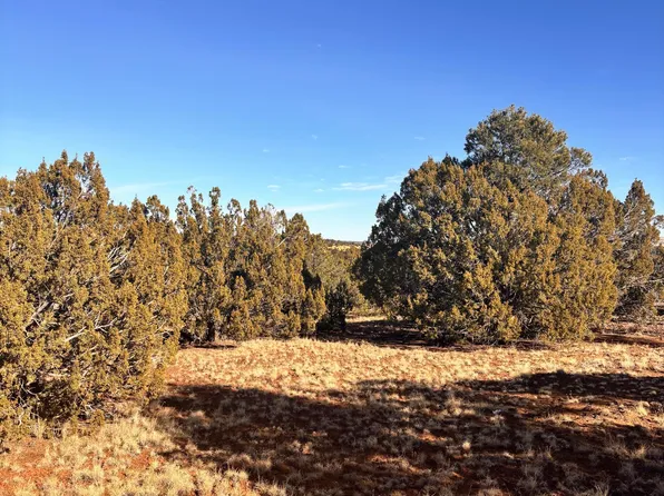 37 Cinder Dr, Concho, AZ 85924