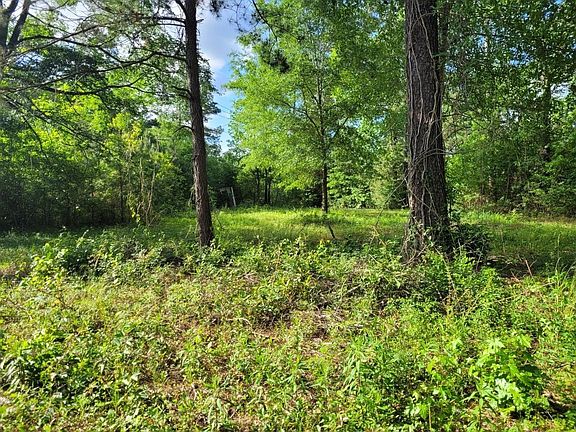 4th image of 15778 Hayden Rd