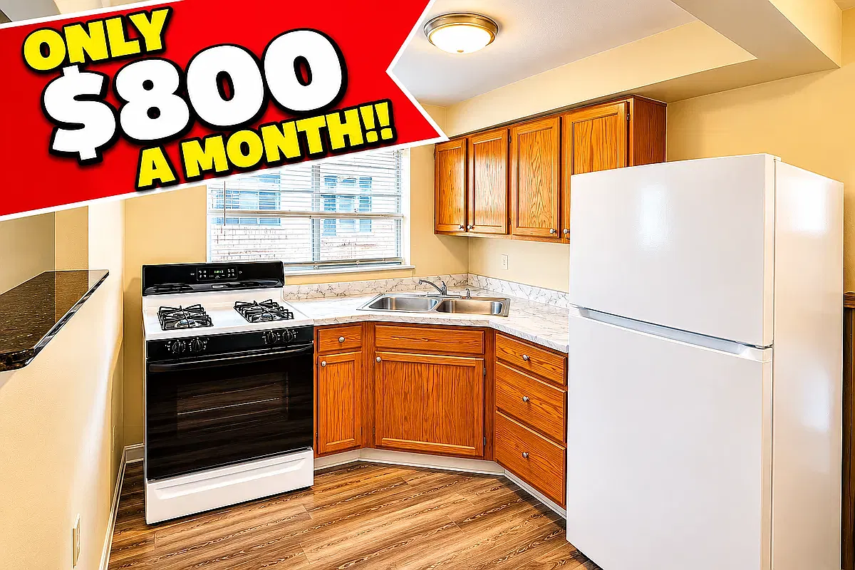 1 bed, 800 sqft, $800 — Photo 1