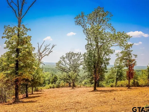 LOT 3 County Road 358, Winona, TX 75792