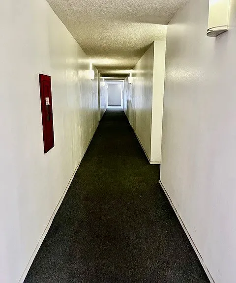 Taylor Garden Apartments — Photo 18