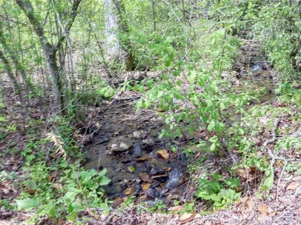 T 2 Clayton Gooch Road Tr 2, Dahlonega, GA 30533