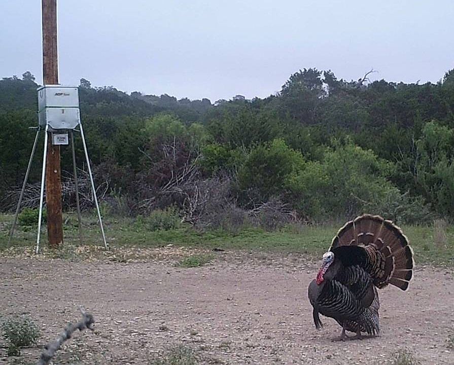 1st image of 10150 County Road 650 #27