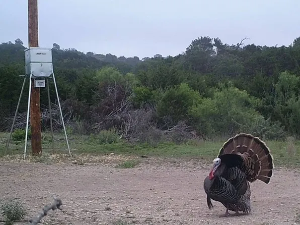 10150 County Road 650 #27, Rocksprings, TX 78880