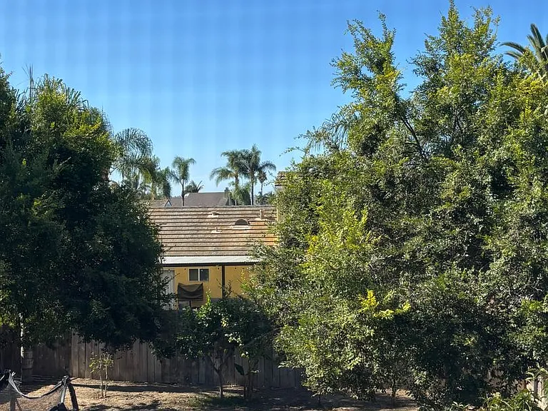 4455 Bermuda Dunes Pl — Photo 5