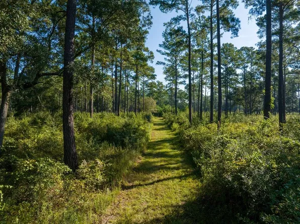1698 Stage Rd, Ochlocknee, GA 31773