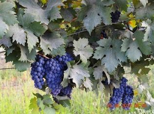 850 E Armstrong Rd, Lodi, CA 95242