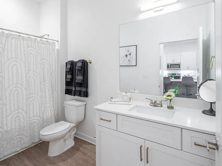 The Briley Bathroom