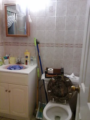 Rented by 18 REALTY | media 31