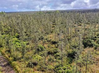 16-2174 Road 4 LOT 3529, Mountain View, HI 96771