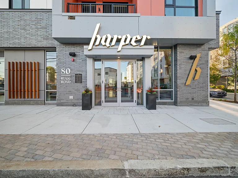 Harper — Photo 25