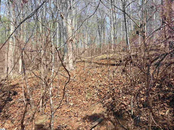 167 Julie Way, Pickens, SC 29671