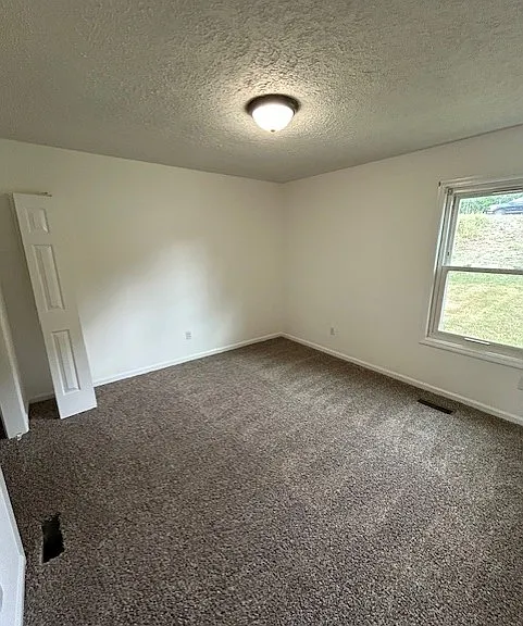 445 Lebanon Hwy — Photo 11