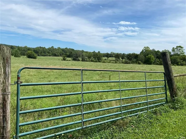 0 Madison St Tract 1, Fredericktown, MO 63645