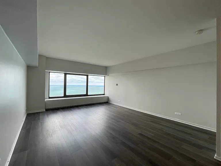 175 E Delaware Pl #5004 — Photo 9
