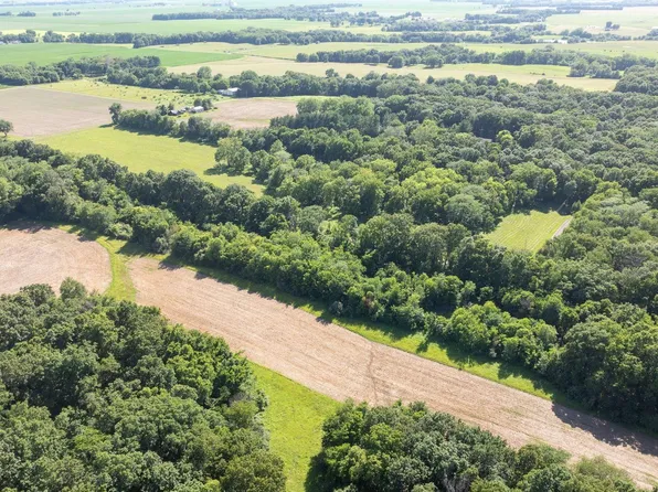 8543 Frey Rd, Pleasant Plains, IL 62677