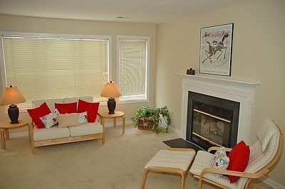 Living Area with Wood FP