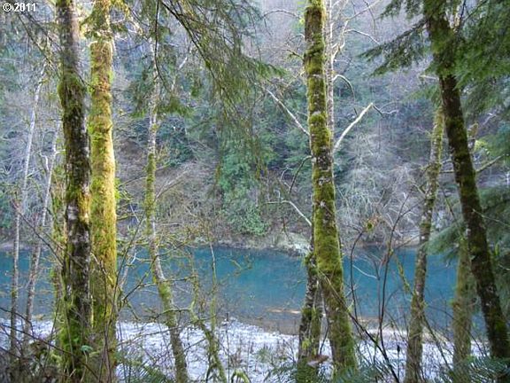 2nd image of Wilson River Hwy