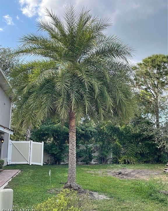1st image of 13118 Golden Palms Cir