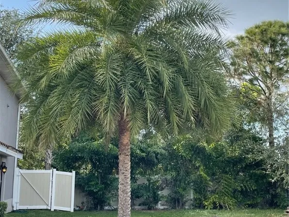 13118 Golden Palms Cir, Fort Myers, FL 33913