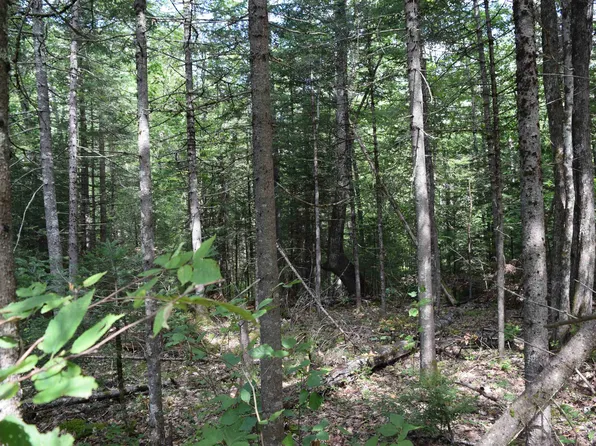 Lot 147 Valley Road #147, Haverhill, NH 03765