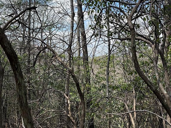 5th image of 0 Line Runner Ridge Rd