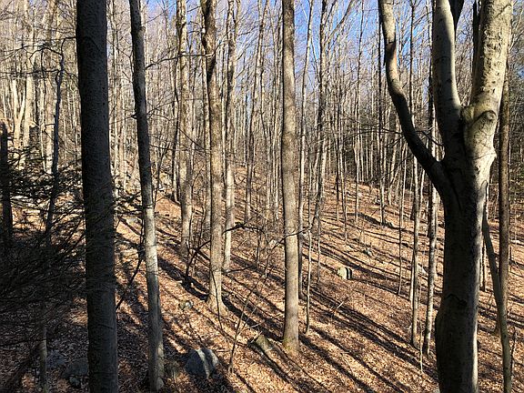 1187 Litchfield Road