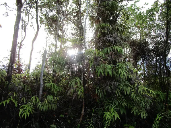 Pikake St Lot 7730, Mountain View, HI 96771