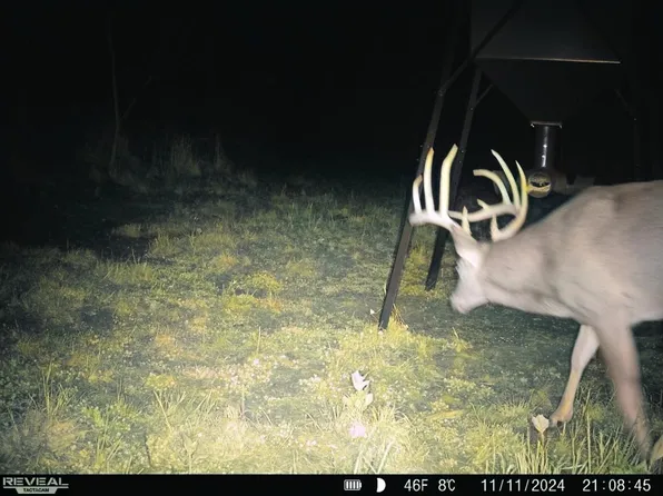 Bunce Rd, Gallipolis, OH 45631