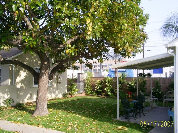 Rear yard