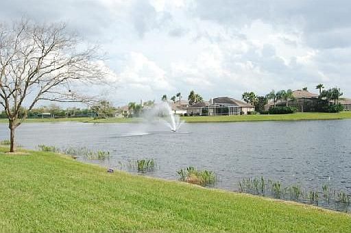 Pond