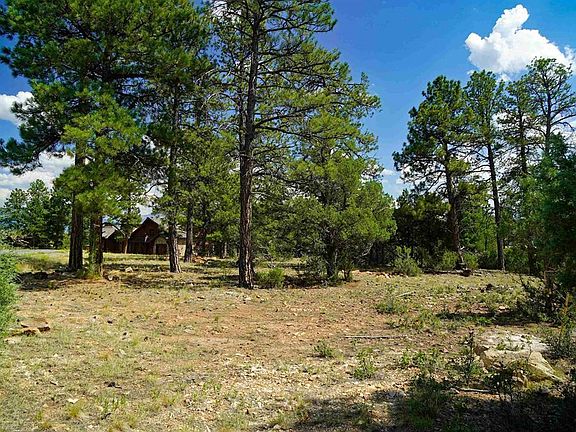 4th image of TBD Hummingbird Trail