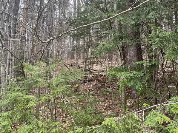 10-4-2 David Thompson Drive, Campton, NH 03223