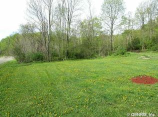 7952 Thorp Rd, Springwater, NY 14572