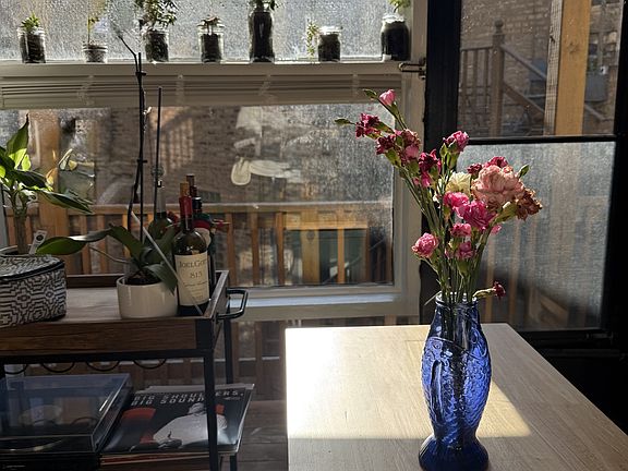 3rd image of 1916 N Lincoln Park W APT 3S
