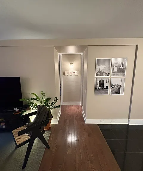 900 N Lake Shore Dr #1106 — Photo 5