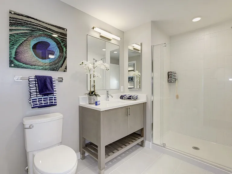 Modern bathroom with walk-in shower