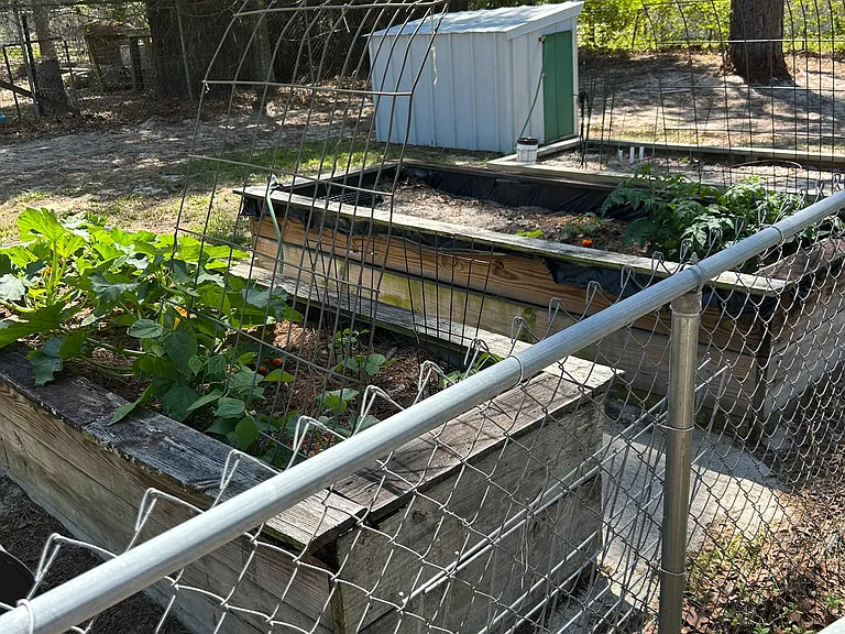 Raised bed garden