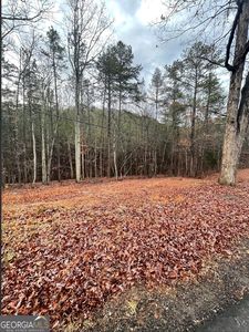 130 Connesena Rd, Kingston, GA, 30145