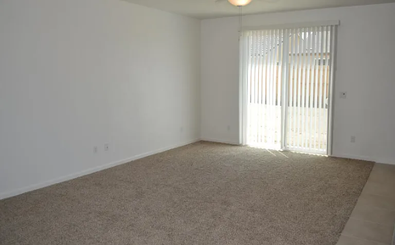 4467 Jennifer Way — Photo 11