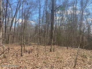 2nd image of Turkey Creek Rd Lot 12