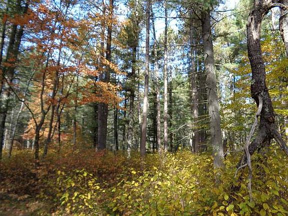 4th image of LOT 14 Wilderness Cir