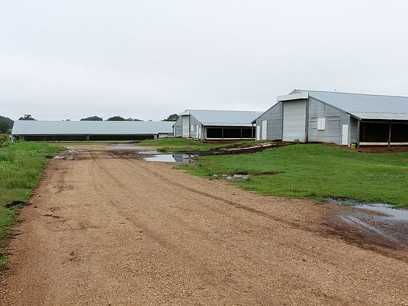 5th image of 99 Airline Hwy