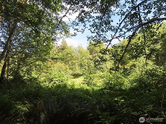 2nd image of 0 Salmon Creek Road