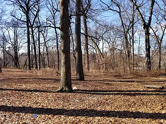 Rented by Bruma Realty LLC