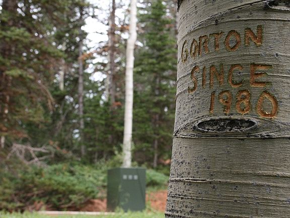 4th image of Green Meadow Acres Lot 12
