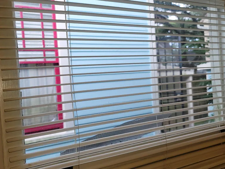 View from kitchen