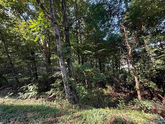 3rd image of LOT 38 Creek Path Browns Valley Rd