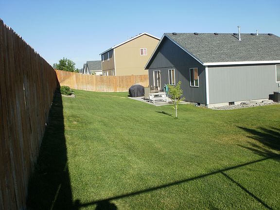 Back yard