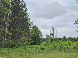0 N Menzies Rd, Lake City, MI 49651